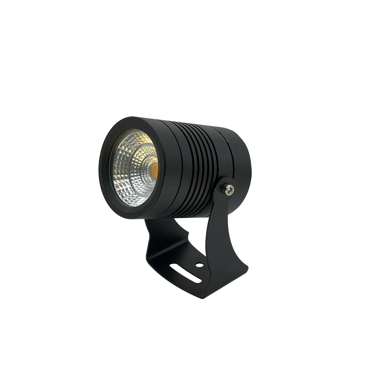 Đèn chiếu cây L1 AD3006-10W