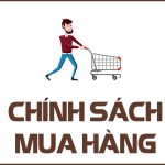 Chính Sách